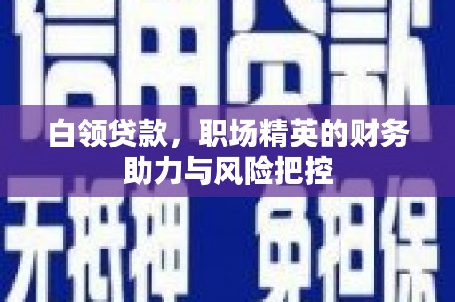 泰顺白领贷款，职场精英的财务助力与风险把控