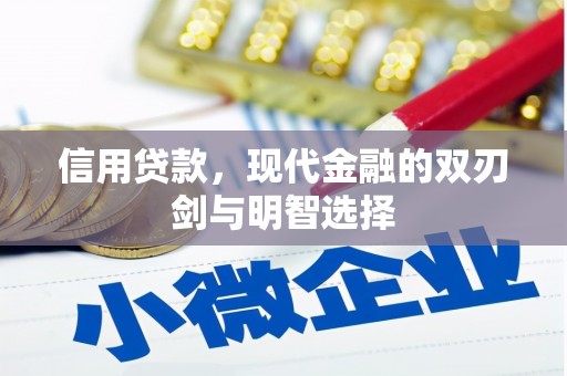 泰顺信用贷款，现代金融的双刃剑与明智选择