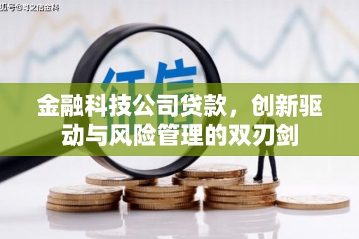 泰顺金融科技公司贷款，创新驱动与风险管理的双刃剑