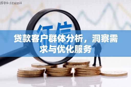 泰顺贷款客户群体分析，洞察需求与优化服务